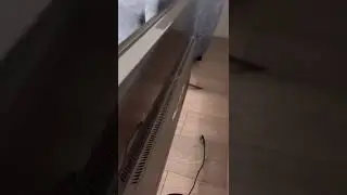 11 июня 2022 г.