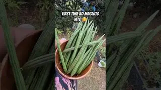 Bunga ng Malunggay. Parang pinakbet ang timpla gamit bagoong isda 💖 ang sarap