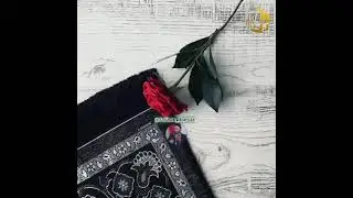 нахотки хайванчалик куркмаймиз
