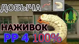 Прокачка добычи наживки до 100% в РР4
