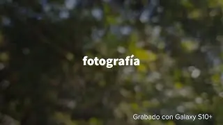 ¡Dale un PLUS a tus fotografías! #SamsungMembersVlog #Fotografía #Semana4