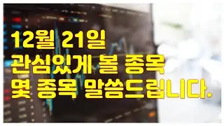 [주식] 12월 21일  관심있게 볼 종목에 대하여