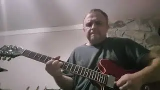 Lynyrd Skynyrd Don't Ask Me No Questions Guitar Solo Vox AC30 and Vox AC10 w Gibson 335