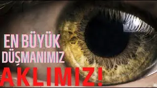 AKLIN ZİNDANINDAN KURTULUN - Carpe Diem, Ateizm ve Mutluluk