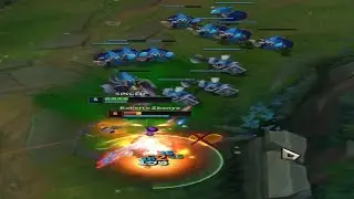 Challenger Singed Gaming.