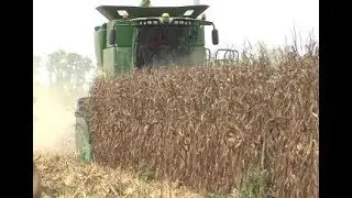 2018 Louisiana agriculture year in review