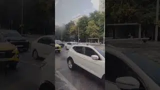 28 августа 2024 г.