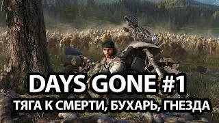 DAYS GONE - БАЙКЕРЫ ПРОТИВ ЗОМБИ | ДЕНЬ 1