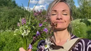Летний день в глуши #жизнь