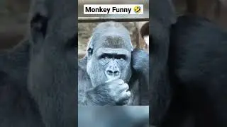 New Short Funny Clip 🤣🤣 