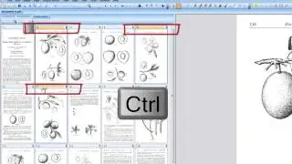 05 How to select image pages in PixEdit image editing and scanning program.
