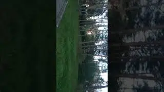 Комунар, г Владимир