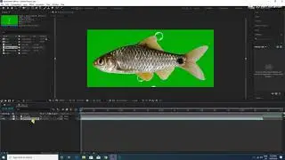 How to swim fish in aquarium in after effects I After Effects Tutorial I Technical Sarower