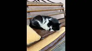 Малыш и Мурочка 💗😻
