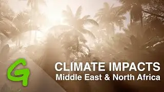 Climate change impacts in the Middle East & North Africa - Greenpeace MENA