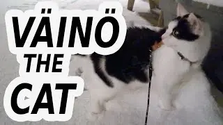 Adventures in snow for the first time (Väinö the Cat #1)