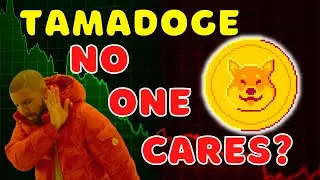TAMADOGE UPDATE: COMMUNITY INTEREST HAS GONE DOWN?