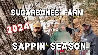 Sappin’ Season | Tappin’ the Maple Trees | Maple Syrup