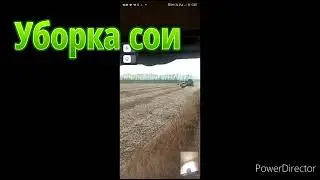 🏡Всего понемногу, видео ассорти.