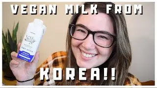 VEGAN MILK FROM KOREA - MILDOO REVIEW