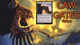 Is This Deck the ANSWER to Blue Terror?
