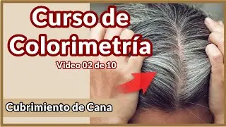 Gray Coverage and Color Fillers - Colorimetry Course video 02 of 10
