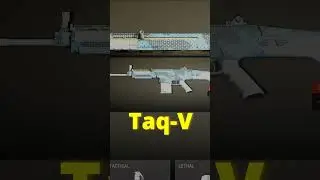 3 Best Loadouts To Use in Warzone!