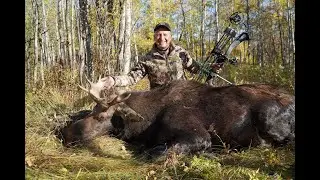 Moose Hunt 2024 - the perfect shot