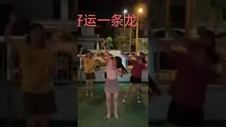龙年。。好运一条龙