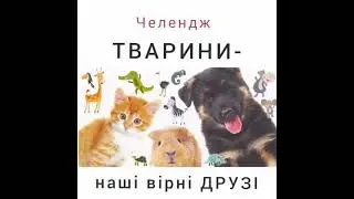 Всесвітній день захисту тварин ІІ Міжнародний урок доброти Челендж "Тварини - наші вірні друзі"