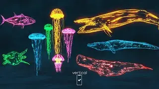 Amazing Facts About 🦈🐋🐬 - [Shorts Compilation-2] #smartkidsyoutube #smartkids