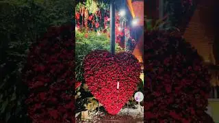 Праздник цветов Медельине | Feria de las Flores, Jardín Botánico, Medellín, Colombia
