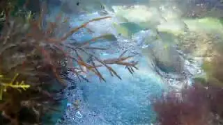 Чёрное море евпатория 2017