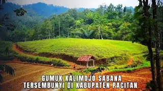 TAHUKAH ANDA ? SABANA DI KABUPATEN PACITAN INI | PADANG RUMPUT GUMUK KALIMOJO