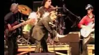 MATTHEW LEE - MEAN WOMAN BLUES- rock'n'roll piano