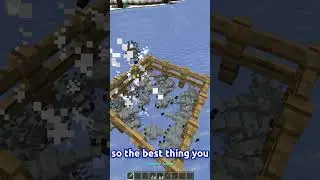 IMPOSSIBLE To Kill Mobs