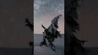 песня о любви