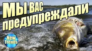 15 тысяч УЧЕНЫХ предупреждают ЧЕЛОВЕЧЕСТВО последний РАЗ !!!