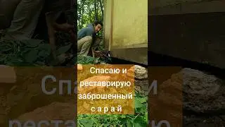 Вытягиваю сарай из земли домкратом! Будет новый дом для цыплят!) 