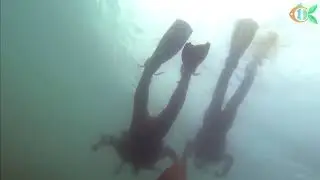International Coastal Cleanup Day 2018