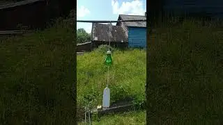 6 июля 2023 г.