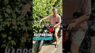 Нет врагов, есть те, кто помогает нашей эволюции! Несогласен? Пиши коммент.