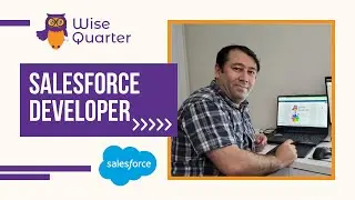 Salesforce Developer | Wise Quarter
