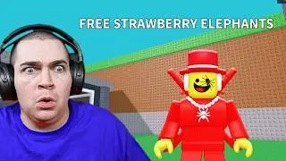steal a brainrot got HACKED..