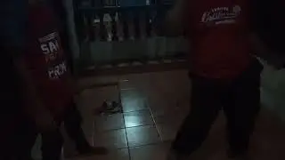 MMA bocah gacor