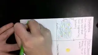 Life Cycle of Stars