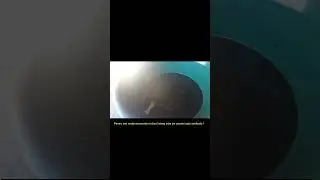 Cum se face revizia la servodirectie?