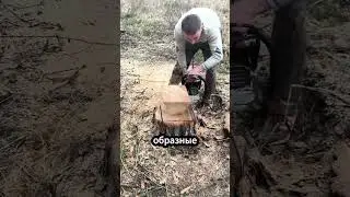 🔥 Как из обычного бревна сделать стильный табурет своими руками