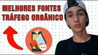 3 Melhores Fontes de Tráfego Organico
