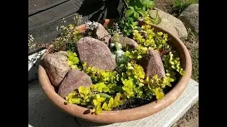 Мини-садики/ Как они менялись каждый год